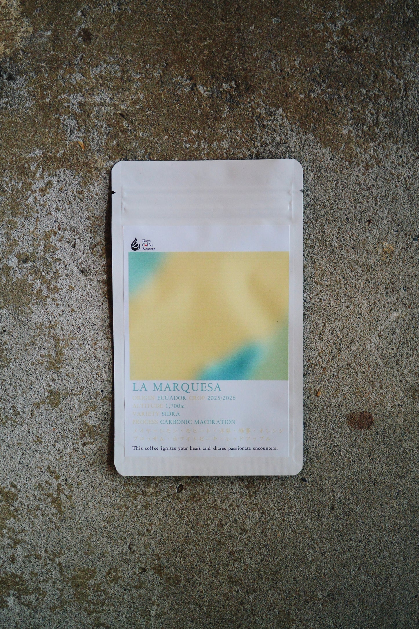 LA MARQUESA【100g】