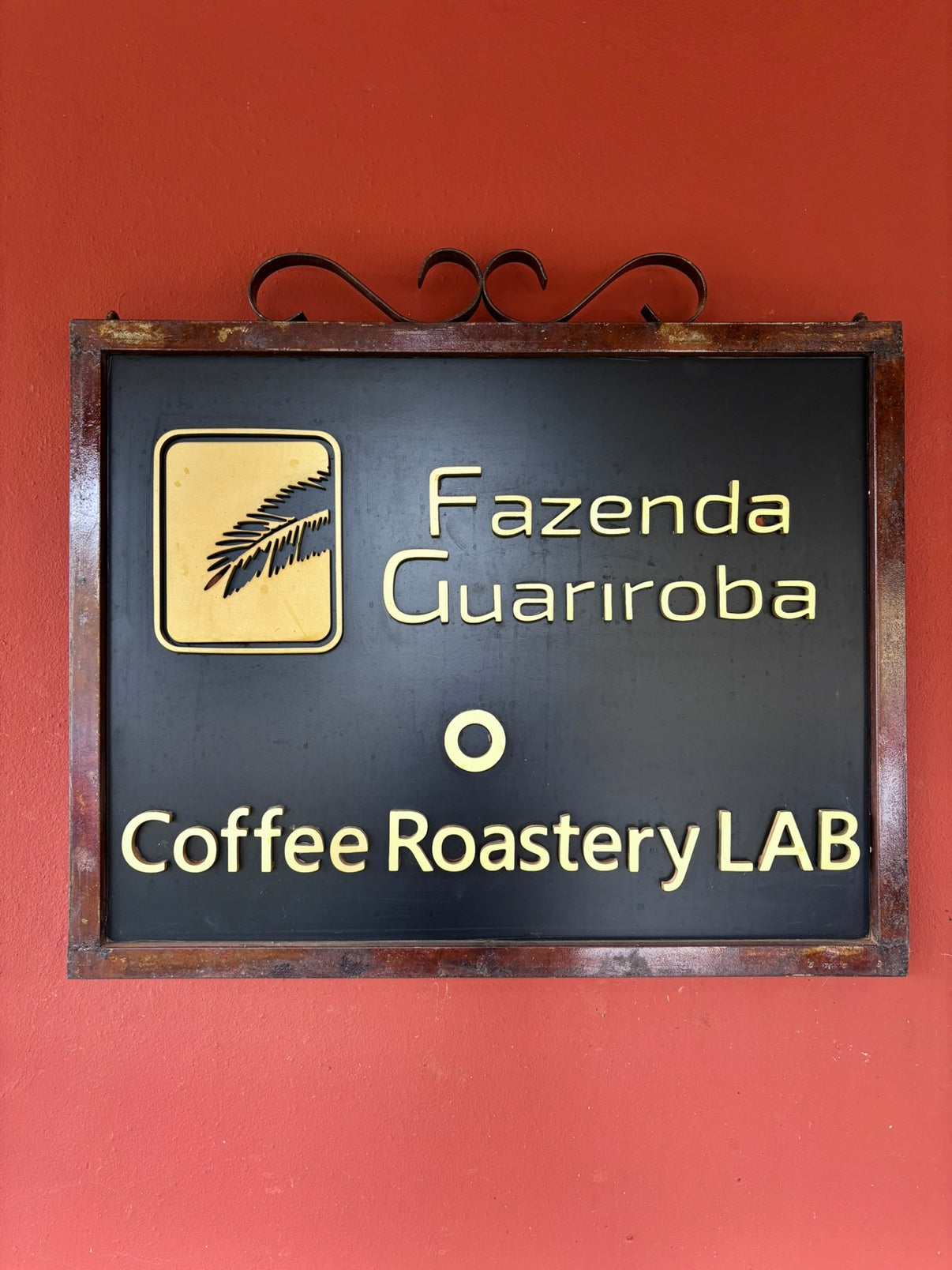 Guariroba Processing Days Exclusively Lot 01 【100g】