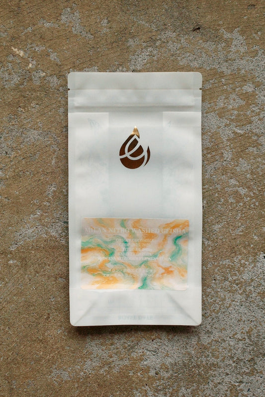 MILAN NITRO WASHED GEISHA 【100g】