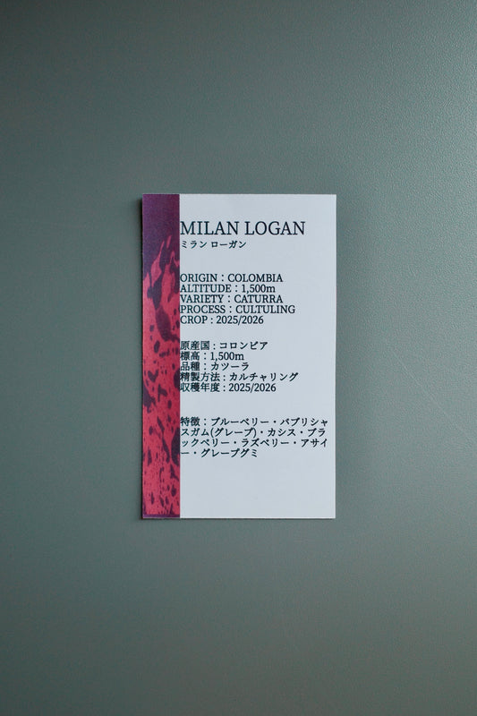 MILAN LOGAN 【100g】