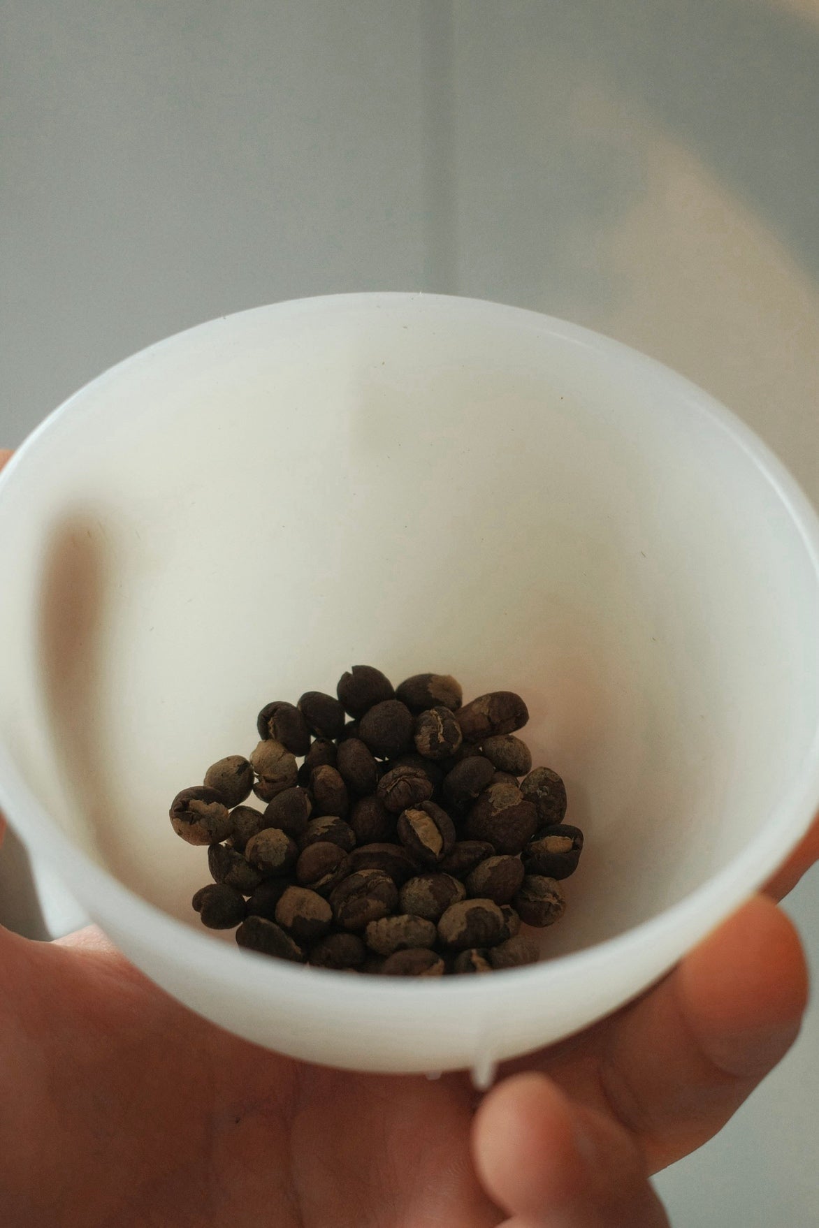 ACACIA HILLS KENT PB【200g】