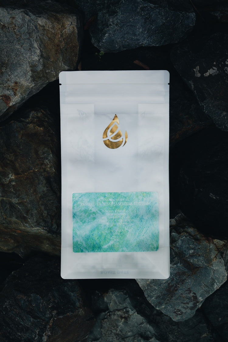 TAMIRU TADESSE -AMBESSA LOT 2024- 【50g】