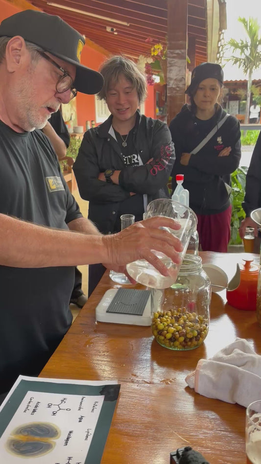 Guariroba Processing Days Exclusively Lot 01 【100g】